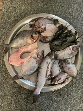 Various types of fresh fish in plate from Kerala backwaters 스톡 사진