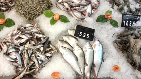 Various types of freshwater fish are  displayed at super shop for seasonal sale. Stock Footage 195995633