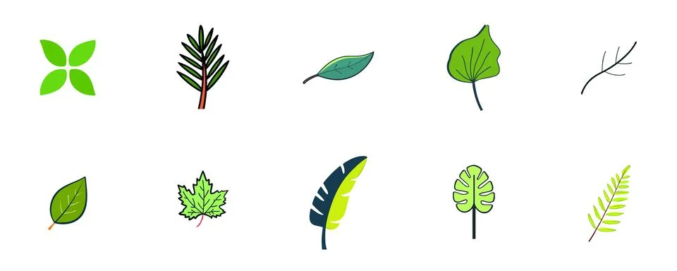 Various Types of Green Leaves Stock Illustration