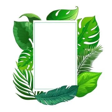 Various types of leaf shapes. Stock Illustration