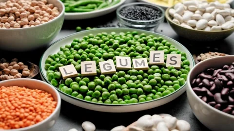 Various types of legumes, beans, lentils, chickpeas and peas. Legume set Stock Footage 283683296