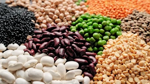Various types of legumes, beans, lentils, chickpeas and peas. Legume set Stock Footage 283683345