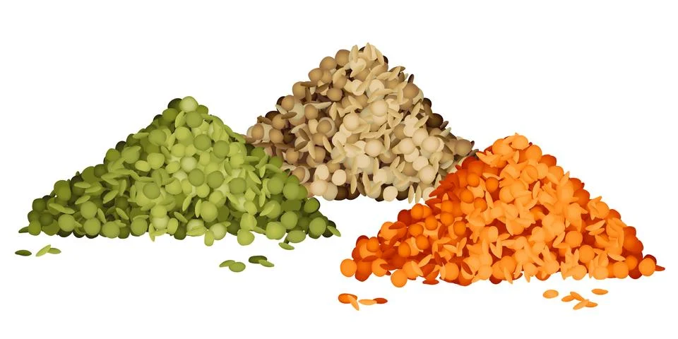 Various types of lentils piles set Stock Illustration