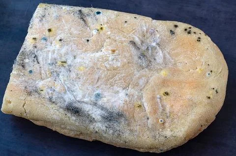 Various types of mold on a loaf of bread. A loaf of bread lies on a dark surf 스톡 사진
