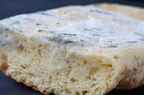 Various types of mold on a loaf of bread. A loaf of bread lies on a dark surf 스톡 사진
