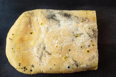Various types of mold on a loaf of bread. A loaf of bread lies on a dark surf 스톡 사진