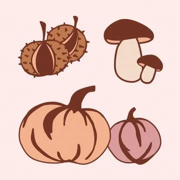 Various types of mushrooms and pumpkins displayed against a pink background Stock Illustration