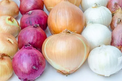 Various types of onion on white background Stock Photos