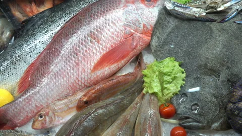 Various types of raw fish in 4k Video stock 139880195