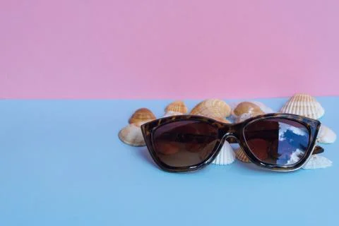 Various types of shells and one sunglasses on a light blue and pink backgroun Stock Photos