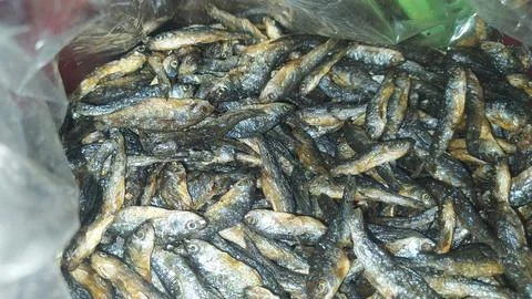 Various types of small fish are sold in traditional market Stock Photos