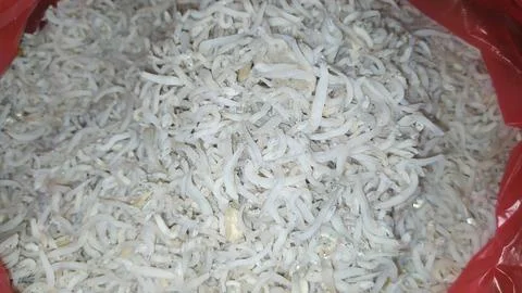 Various types of small fish are sold in traditional market Stock Photos