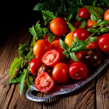 Various types of tomatoes served and presented on the silver platter. Stock Photos