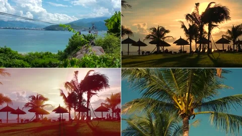 Various types of tropical nature in the evening at sunset. Palm trees and the 库存影片 202237405