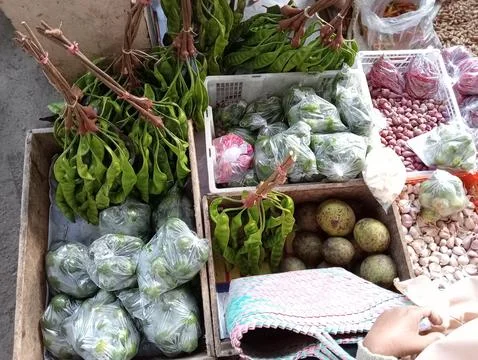 Various types of vegetables Stock Photos