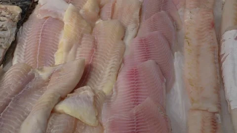Various varieties of fish on the counter of the fish market Stock Footage 166240998