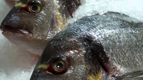 Various varieties of fish on the counter... | Stock Video | Pond5