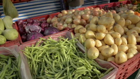 Various vegetables at the fair Stock Footage 186893123