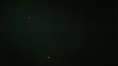 Various vegetables fall into the water creating bubbles. Stock Footage 117107803