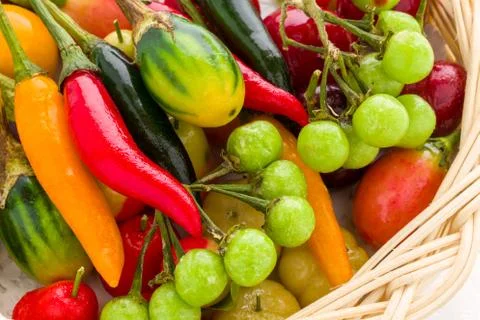 Various Vegetables Stock Photos