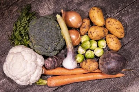 Various vegetables 写真素材