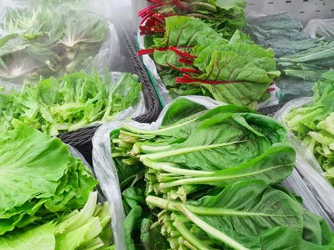 Various vegetables in refrigerator for veggies that keeps food fresh with vap Stock Photos