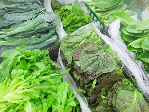 Various vegetables in refrigerator for veggies that keeps food fresh with vap Stock Photos