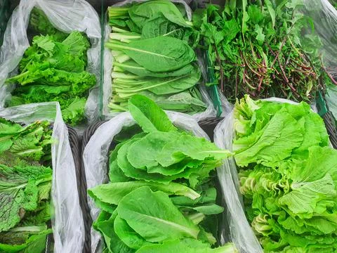 Various vegetables in refrigerator for veggies that keeps food fresh with vap Stock Photos