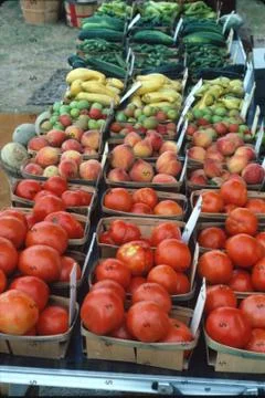 Various Vegetables shown on a fruit stand Stock Photos