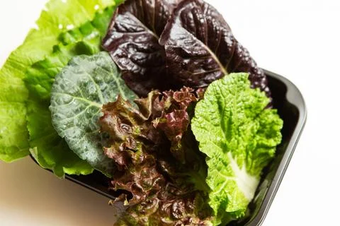 Various vegetables in takeaway containers Stock Photos
