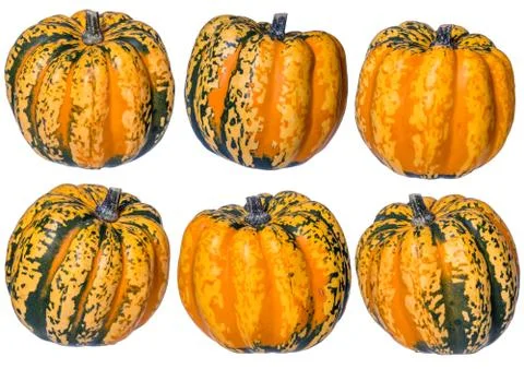 Various view of carnival mini Pumpkins Isolated on a White Background Foto stock