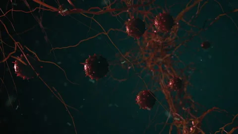 Various viruses flying in space . simulation of viruses and other forms of ba Stock-Footage 188768570