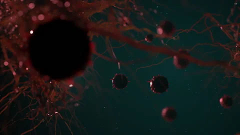 Various viruses flying in space . simulation of viruses and other forms of ba 스톡 동영상 188768947