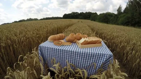 Various white breads in wheat field, 4K time lapse Stock Footage 69149340
