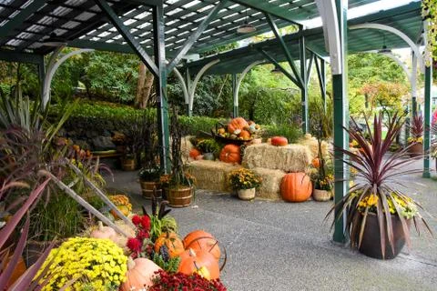 Various winter squash and pumpkins being used to decorate an outdoor area. Stock Photos