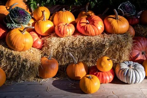 Various winter squash and pumpkins being used to decorate an outdoor area. Fotos de archivo