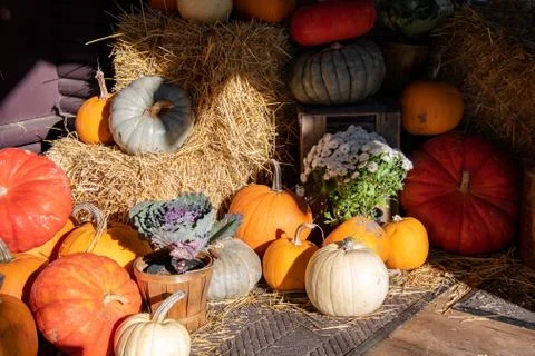 Various winter squash and pumpkins being used to decorate an outdoor area. Stock Photos