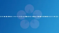 VARIOUS WOOD CREAKS VERY LONGSound Effect