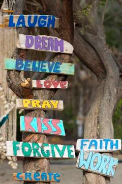 Various wooden signs on tree trunk in Mancora, Peru Stock Photos