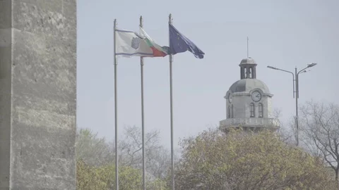 Varna 動画素材 82632074