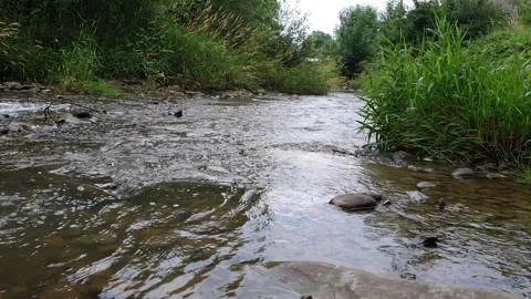 ​Varying Stream Currents - Fast Rushing Water Next to a Swirling Eddy Stock Footage 340051314