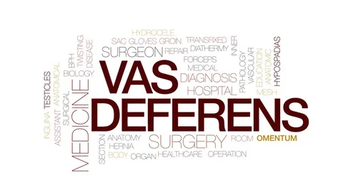 Vas deferens animated word cloud, text design animation. Kinetic typography. Stock Footage 81532604