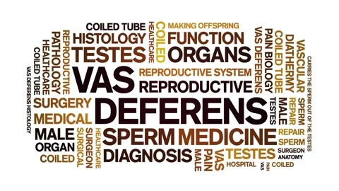 Vas Deferens animated word cloud,animation tag kinetic typography seamless loop Stock Footage 273485284