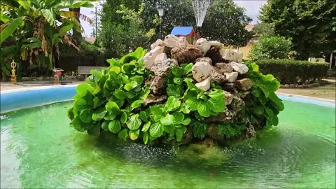 Vasca Видео 162562920