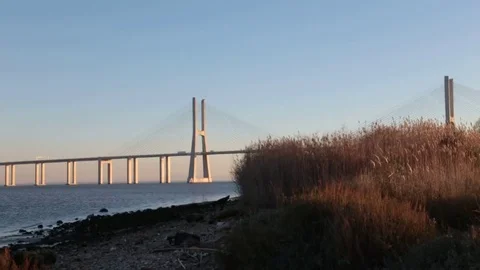 Vasco da Gama brige in sunset light. view from shore Stock Footage 72064051