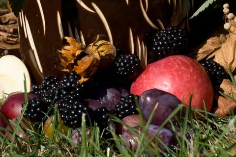 Vase  and fruit background Stock Photos