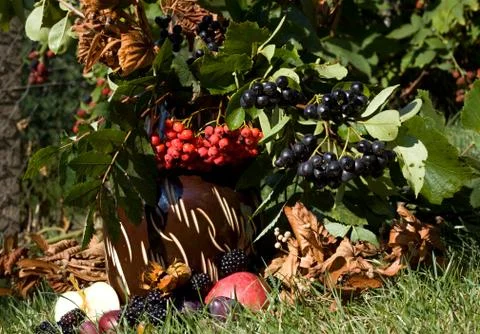 Vase  and fruit background Stock Photos