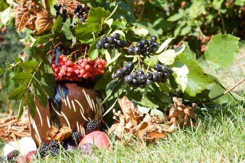 Vase  and fruit background Stock Photos