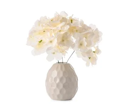 Vase of beautiful artificial hydrangea flowers isolated on white background,  Stock Photos