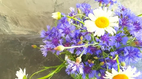 Vase of cornflower, chamomile, slow motion Stock Footage 111808165